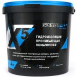 Гидроизоляция обмазочная проникающая Glims WP X5 4 кг