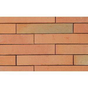 Кирпич облицовочный Terca Linnaeus Betula, 288*88*48 мм