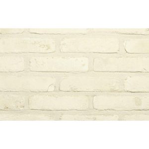 Кирпич облицовочный Terca Duifwit, 188*88*48 мм