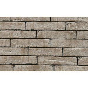 Кирпич облицовочный Terca Grijs Iluzo, 238*88*48 мм