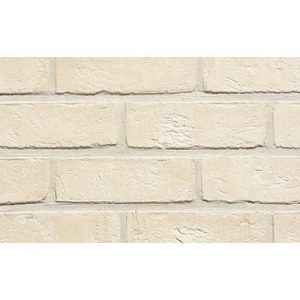 Кирпич облицовочный Terca Agora Super Wit, 215*45-50*65 мм