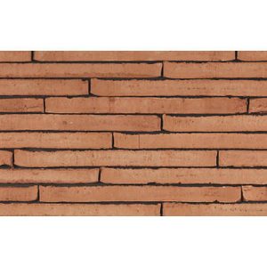 Кирпич облицовочный Terca Wasserstrich Special Orient Red, 500*100*40 мм