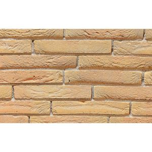 Кирпич облицовочный Terca Tolus Mint Geel, 238*90*40 мм
