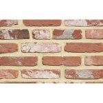 Кирпич облицовочный Terca Oud Kempisch, 210*100*50 мм