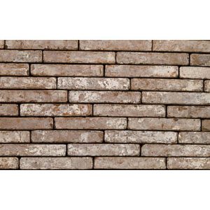 Кирпич облицовочный Terca Metropolis Civitas, 240*65*40 мм