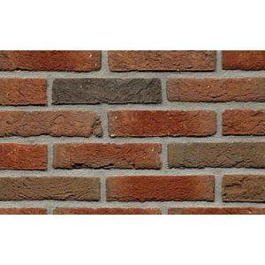 Кирпич облицовочный Terca Nedsted 210*100*50 мм