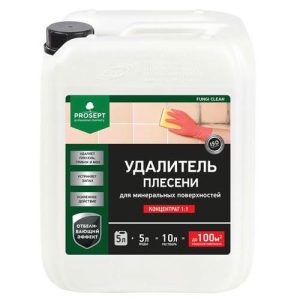 Удалитель плесени Prosept Fungi Clean 019-5 концентрат 1:1 5 л