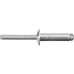 STAYER 4.8 х 20 мм, 500 шт., заклепки алюминиевые ProFIX