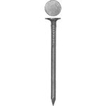 ЗУБР 50 х 3.0 мм, 100 гр, оцинкованные, гвозди с большой потайной головкой Мастер