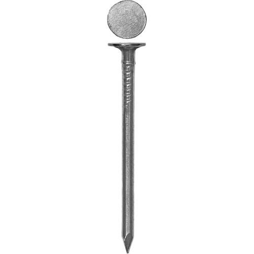 ЗУБР 50 х 3.0 мм, 100 гр, оцинкованные, гвозди с большой потайной головкой Мастер