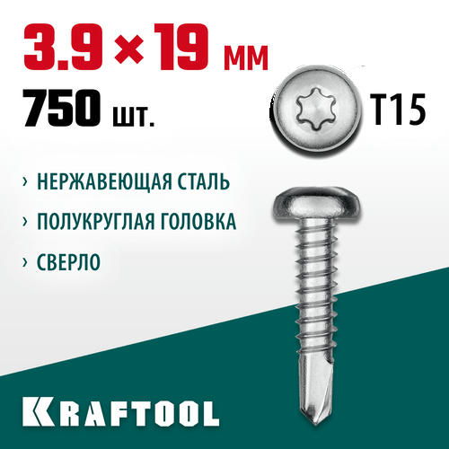 KRAFTOOL 19 х 3.9 мм, 750 шт., нержавеющие саморезы DS-P с полукруглой головкой