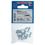 Винт оцинк.пот. DIN 965 М 6х16 (12шт)