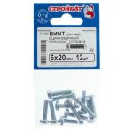 Винт оцинк.пкр. DIN 7985 М 5х20 (12шт)