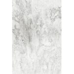 Стеновая панель ПВХ Profbuild 7105 Гавр 2700х250х8 мм