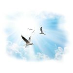 Панель потолочная ПВХ Novita 3D Чайки 1800х250 мм 6 штук