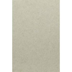 Стеновая панель ПВХ Панельпласт Интонако Классик 2700х250х8 мм 10 штук