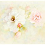 Панель потолочная ПВХ Novita 3D Акварель роза 2500х2000 мм 8 штук