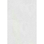 Стеновая панель ПВХ Панельпласт Лопес 2700х250х8 мм 10 штук