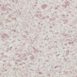 Штукатурка шелковая декоративная Silk Plaster Рельеф 331