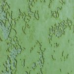 Штукатурка декоративная негорючая ODISSEY ВДАК-213 КМ0 Шагрень микрофактурная 18 кг